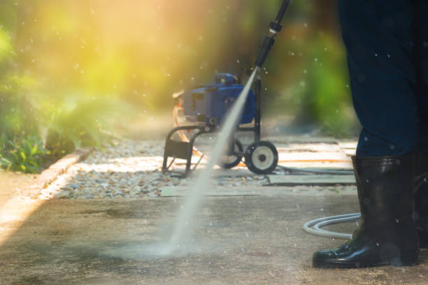 Animal Enclosure Cleaning in Rushford, MN